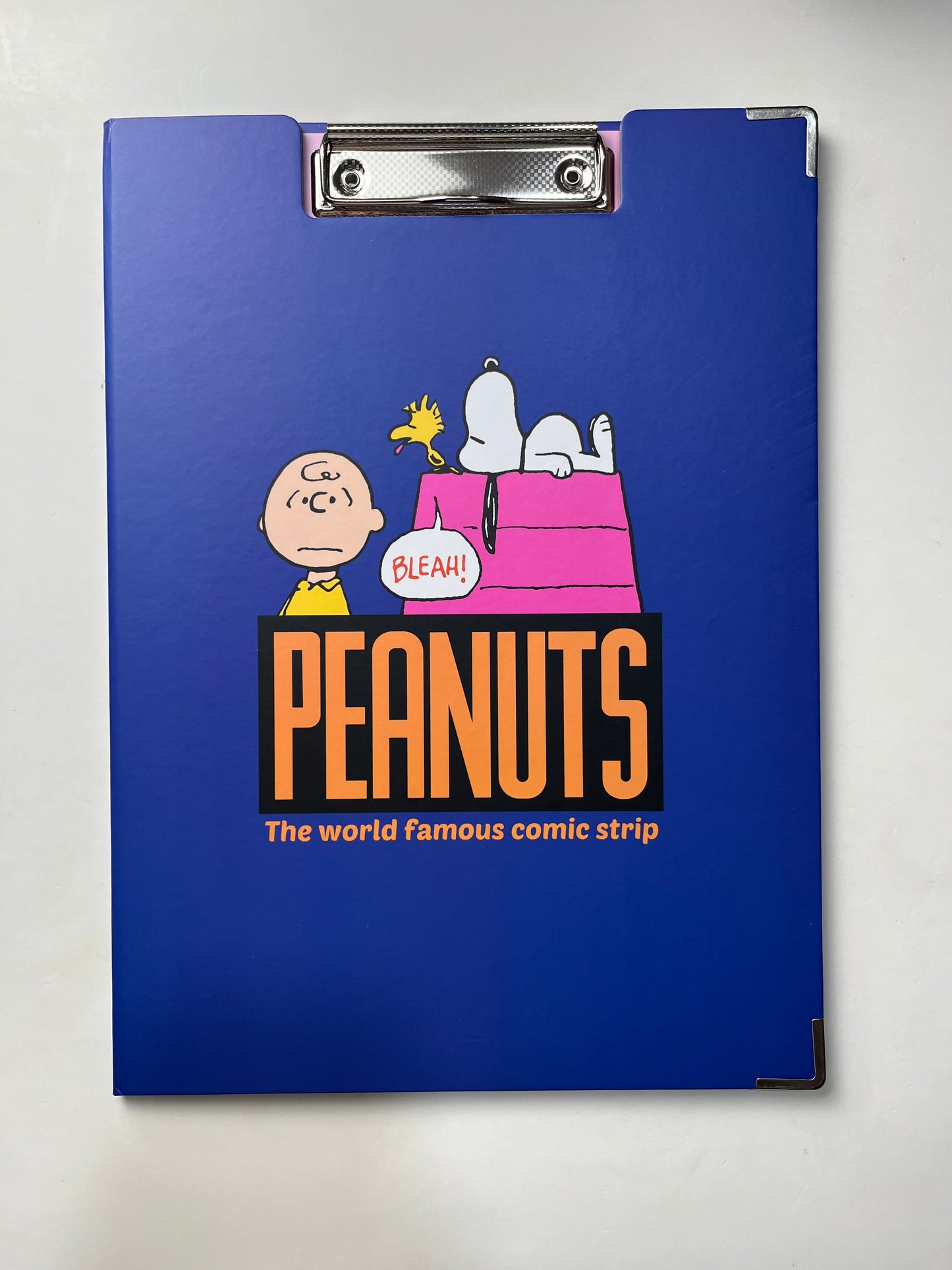 Cartoon Clipboard Folder